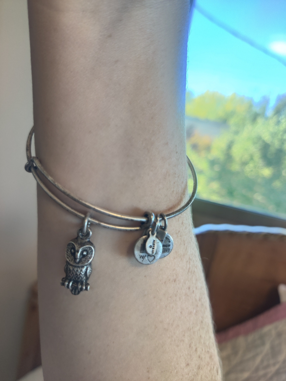 Silver Owl Charm Bangle Bracelet - Alex And Ani